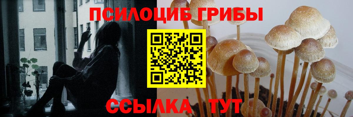 Псилоцибиновые грибы мицелий Миллерово
